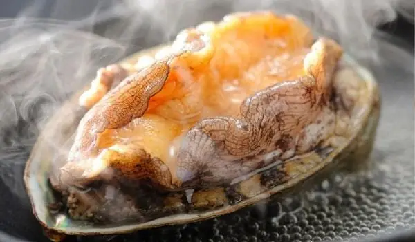 Cách Chế Biến Bào Ngư Kết Hợp Với Gà Cách Chế Biến Bào Ngư Kết Hợp Với Gà