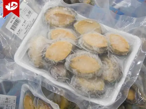 Hướng dẫn sơ chế bào ngư đông lạnh