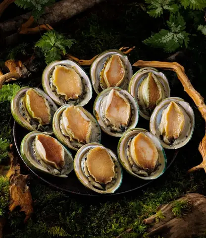 Lưu Ý Khi Chọn Bào Ngư Nấu Cháo Bào Ngư