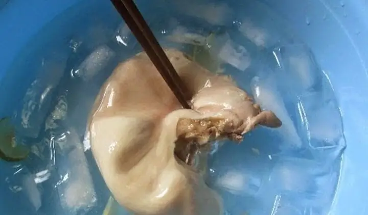 Làm Lạnh Dạ Dày Heo