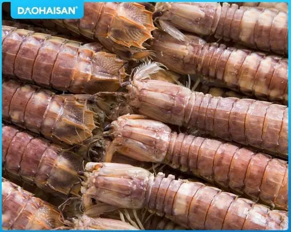 1.  Nguyên liệu cho món tôm tít hấp sả gừng