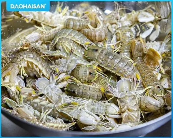 1.  Nguyên liệu cho món tôm tít hấp sả gừng