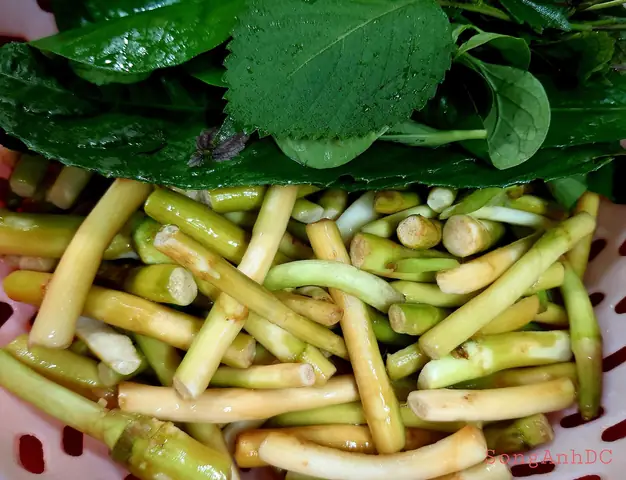 Mẹ Đảm 7x Thành Thạo Chế Biến Bồng Khoai Đã Nhiều Năm Mẹ Đảm 7x Thành Thạo Chế Biến Bồng Khoai Đã Nhiều Năm