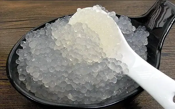 Bột Báng Là Gì Bột Báng Là Gì