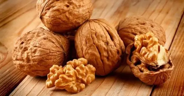 Chọn hạt óc chó như thế nào để xay bột ngon nhất? Chọn hạt óc chó như thế nào để xay bột ngon nhất?