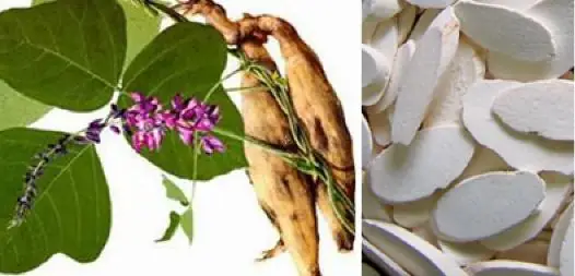 photo-1684742225861 photo-1684742225861