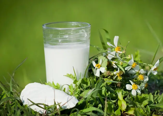 Cháo Bột Sắn Dây