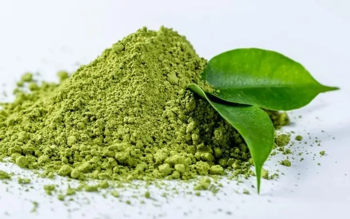 Cách chọn mua bột trà xanh chất lượng Cách chọn mua bột trà xanh chất lượng