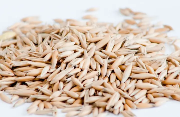 1.1. Yến mạch nguyên hạt 1.1. Yến mạch nguyên hạt