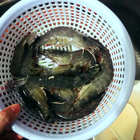 Cách Sơ Chế Cá Lóc Sạch Nhớt, Khử Mùi Tanh