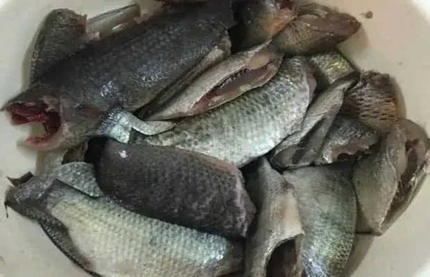 Sơ Chế Cá Rô Và Xương Heo