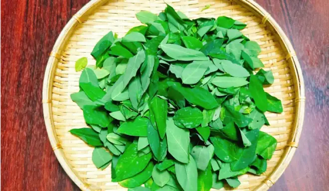 Nếu Muốn Đổi Món Cho Gia Đình Vào Dịp Cuối Tuần Nhưng Chưa Nghĩ Ra Món Nào Phù Hợp Thì Bún Cá Rô Rau Ngót Là Một Lựa Chọn Thích Hợp. Cách Làm Món Này Không Khó.