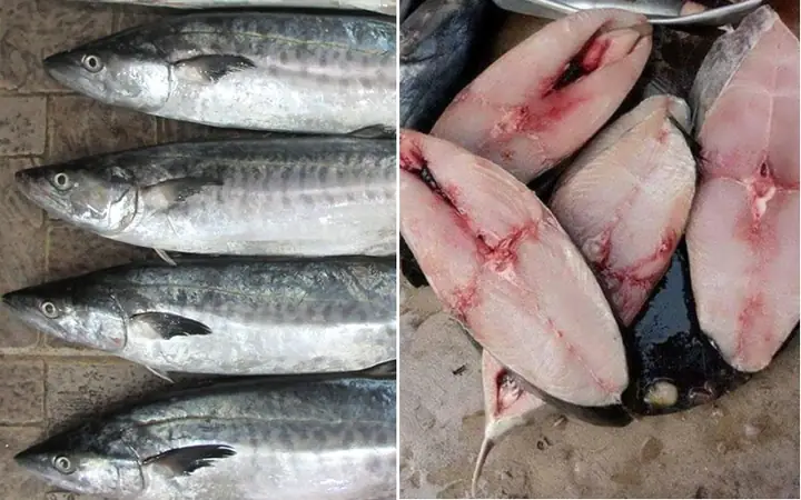 4Cách lựa chọn cá thu tươi ngon