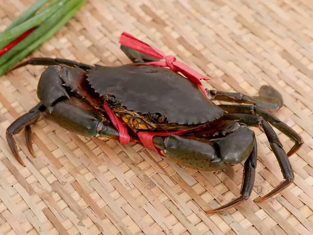 Nguyên Liệu Chính Nguyên Liệu Chính