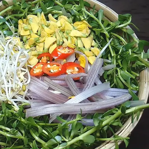 Sơ Chế Các Loại Nguyên Liệu Sơ Chế Các Loại Nguyên Liệu