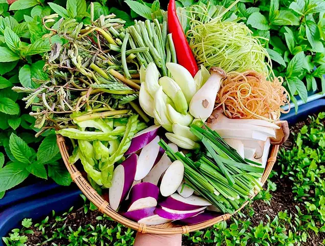 Thưởng thức món bún mắm miền tây thơm ngon đúng điệu