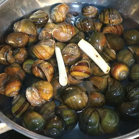 Cách nấu bún ốc dọc mùng thơm ngon, thanh mát, dễ làm ngay tại nhà