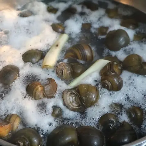 Cách nấu bún ốc dọc mùng thơm ngon, thanh mát, dễ làm ngay tại nhà