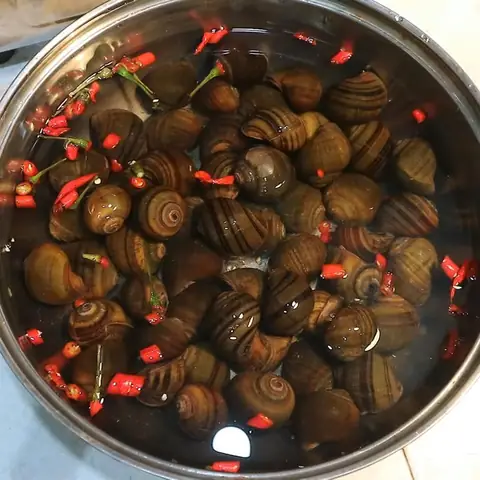 Cách nấu bún ốc dọc mùng thơm ngon, thanh mát, dễ làm ngay tại nhà