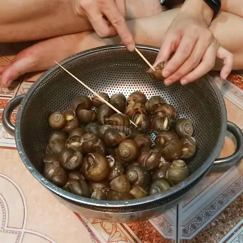 Cách nấu bún ốc dọc mùng thơm ngon, thanh mát, dễ làm ngay tại nhà