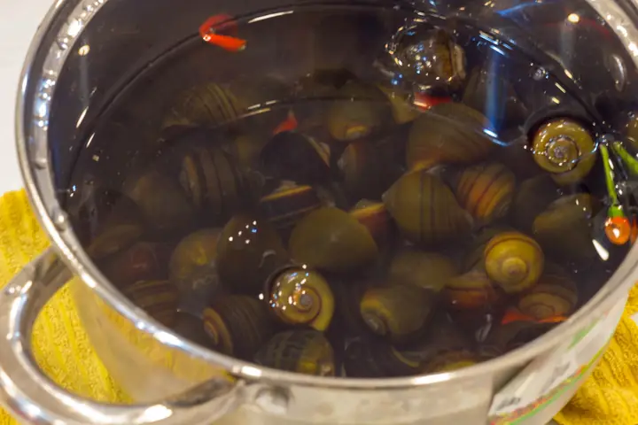 Cách Làm Bún Ốc Nguội