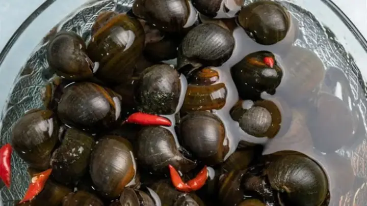 Bước 1Sơ chế nguyên liệu