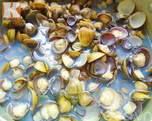 Bún riêu hến có vị chua chua, ngòn ngọt của nước dùng và độ hấp dẫn của thịt hến đảm bảo ai cũng thích.