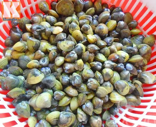 Bún riêu hến có vị chua chua, ngòn ngọt của nước dùng và độ hấp dẫn của thịt hến đảm bảo ai cũng thích.