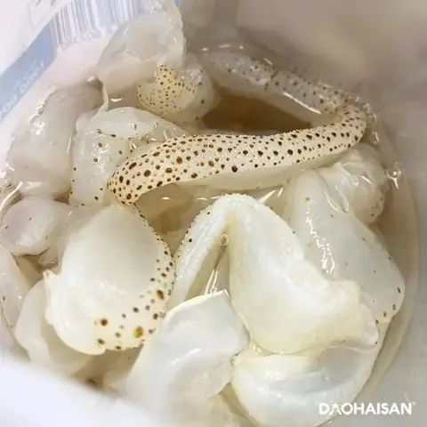 CÁC BƯỚC CHẾ BIẾN MÓN BÚN SỨA CÁC BƯỚC CHẾ BIẾN MÓN BÚN SỨA