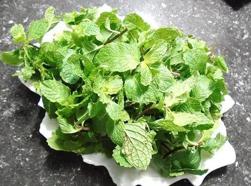 Bước 1: Sơ chế nguyên liệu