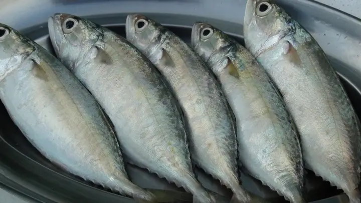 2Cách chọn cá bạc tươi ngon, chắc thịt