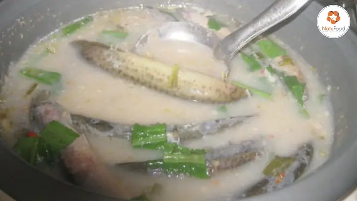 Các món ăn bạn không thể bỏ lỡ từ cá bò vàng