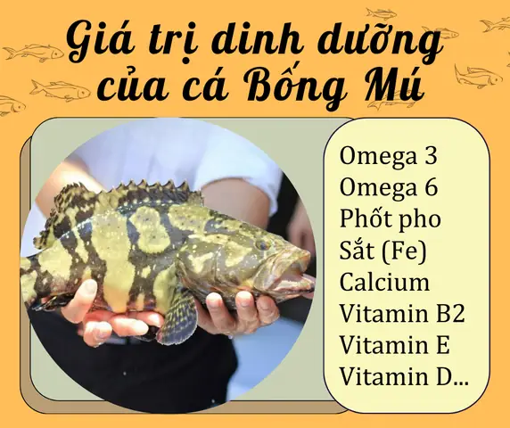 Cách chọn nguyên liệu nấu Cháo Cá Bống Mú Đậu Hà Lan