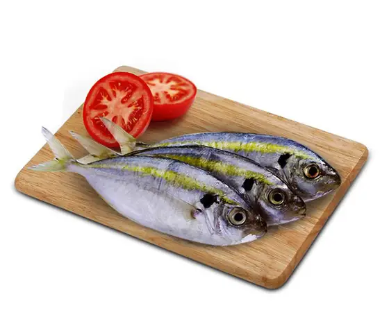 Cá chỉ vàng tươi sống, ngọt thơm, bổ dưỡng