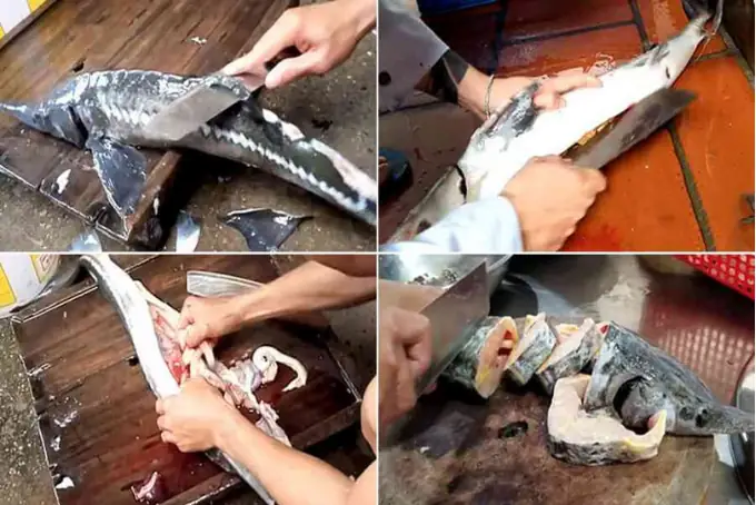 Bước 1: Sơ chế nguyên liệu nấu lẩu cá tầm