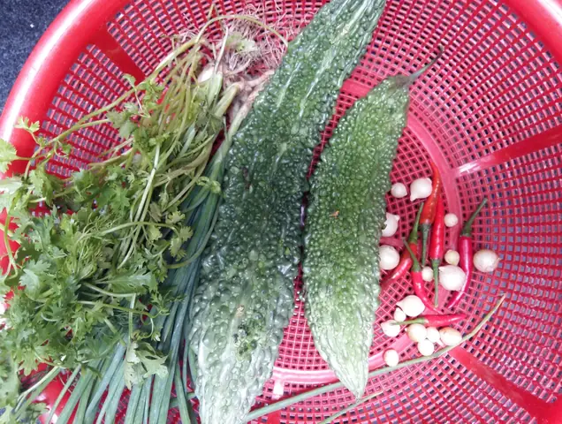 (nlđo) - Tôi Không Khỏi Ngạc Nhiên Bởi Thịt Cá Chuồn Ngọt Cộng Với Vị Đăng Đắng, Nhẫn Nhẫn Của Khổ Qua Hòa Quyện Cùng Mùi Thơm Của Hành, Ngò Tiêu… Mới Ngon Làm Sao.