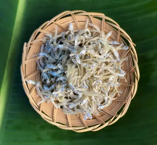 1. Giới Thiệu Về Món Cá Cơm Khô – Cách Chế Biến Cá Cơm Khô