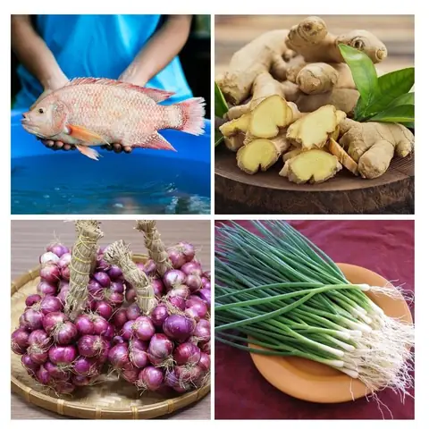 Nguyên liệu cho món cá diêu hồng hấp xì dầu (phần 3 người): Nguyên liệu cho món cá diêu hồng hấp xì dầu (phần 3 người):