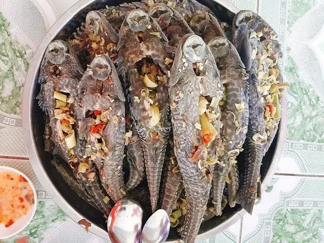 Cá Lau Kiếng – Kẻ Thù Của Mọi Sinh Vật