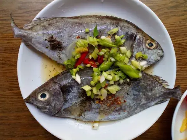 Cách Nấu Cá Giò Biển Ngon Không Tanh?