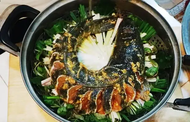 Bước 4: Hấp Cá Cùng Bia