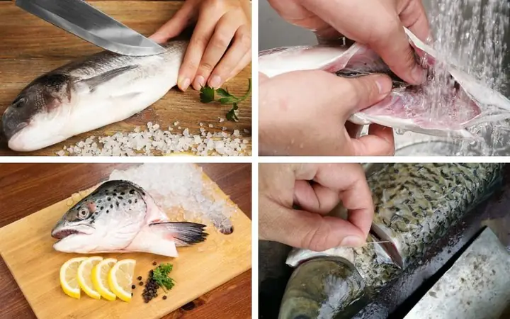 Bước 1: Sơ Chế Cá Và Khử Mùi Tanh Bước 1: Sơ Chế Cá Và Khử Mùi Tanh