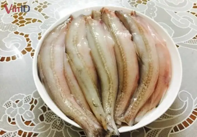 Đổi gió với cách làm cá khoai nấu ngót mới lạ, bổ dưỡng, ai cũng làm được