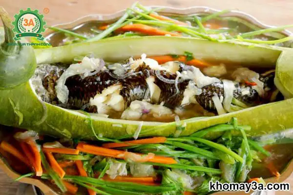 Cách nấu cá lóc hấp bầu theo chia sẻ của bếp trưởng nhà hàng 5 sao