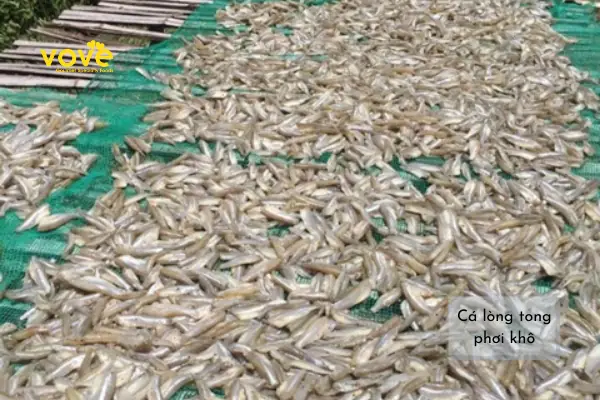 Cách làm khô cá lòng tong