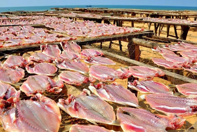 1. Cá Khô Một Nắng Là Gì? Có Những Loại Cá Khô Nào? 1. Cá Khô Một Nắng Là Gì? Có Những Loại Cá Khô Nào?