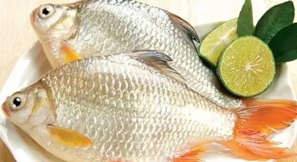 Cách Chọn Cá Tươi Ngon