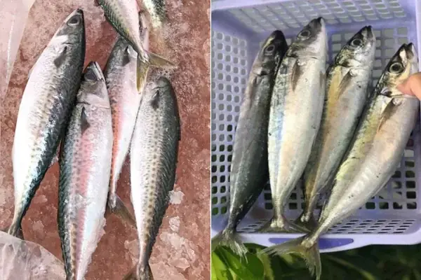 Nên Chọn Loại Cá Nục Nào Để Kho Măng Ngon?