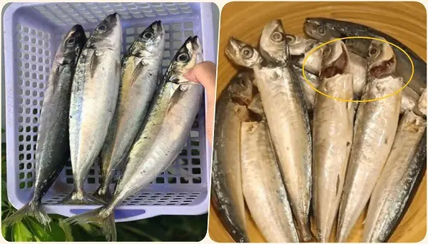 Cách Chọn Cá Nục Tươi Ngon Cách Chọn Cá Nục Tươi Ngon