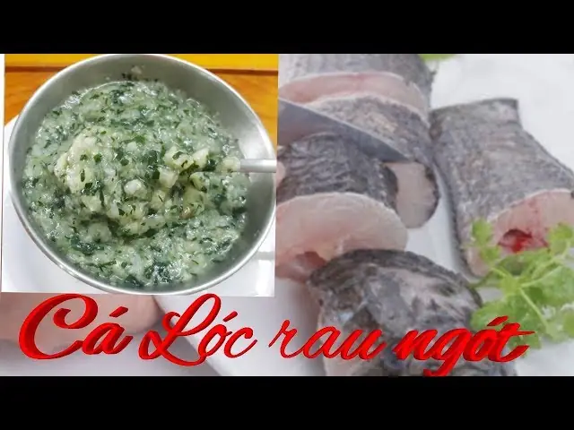 4.1 Cháo Cá Lóc Rau Ngót 4.1 Cháo Cá Lóc Rau Ngót